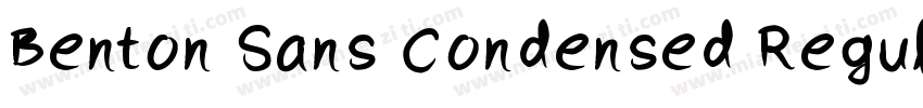 Benton Sans Condensed Regular字体转换